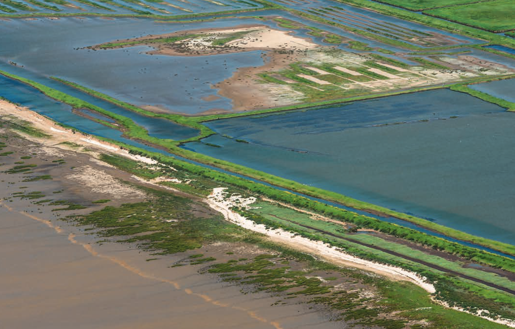 La sécheresse affecte la biodiversité des réserves naturelles